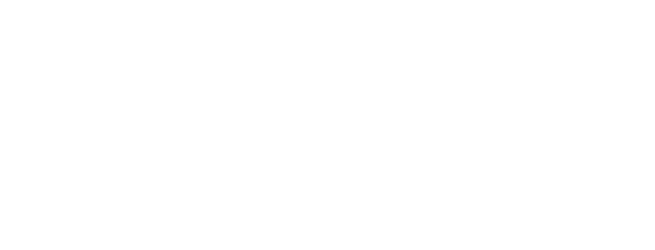 The Balancing Company